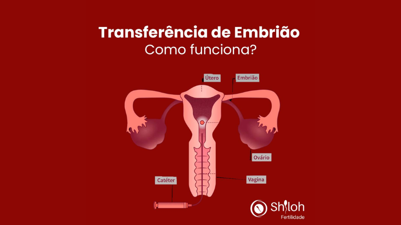 Descubra com Oluwatosin Tolulope Ajidahun as evidências científicas sobre a ligação entre imunidade e infertilidade masculina.