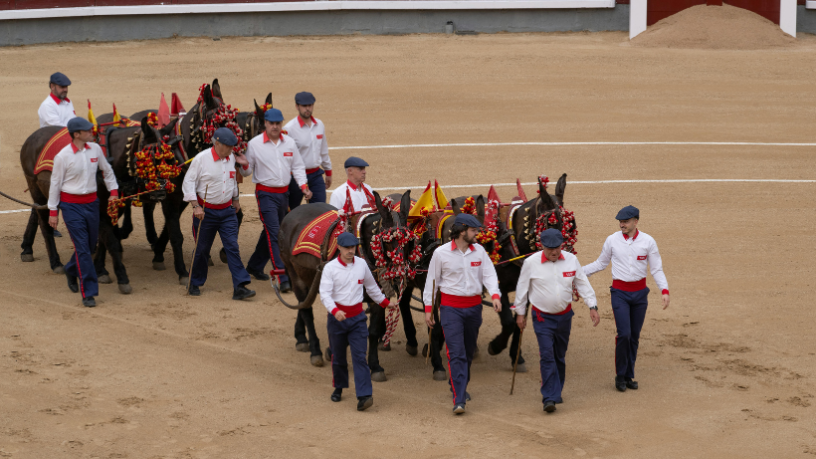 O mercado dos Cavalos Crioulos e sua força econômica são explorados por Aldo Vendramin.