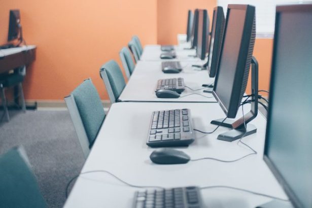 Mais de 20 mil vagas em cursos gratuitos em Sergipe ampliam acesso à qualificação profissional