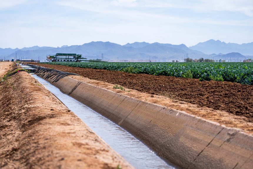 Canal de irrigação atravessando área agrícola, com montanhas ao fundo.
