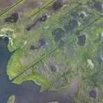 Vista aérea de áreas verdes alagáveis cortadas por canais de drenagem.