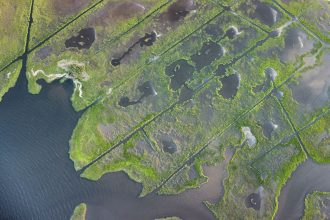 Vista aérea de áreas verdes alagáveis cortadas por canais de drenagem.